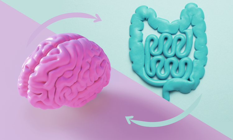 Intestino, Nosso Segundo Cérebro