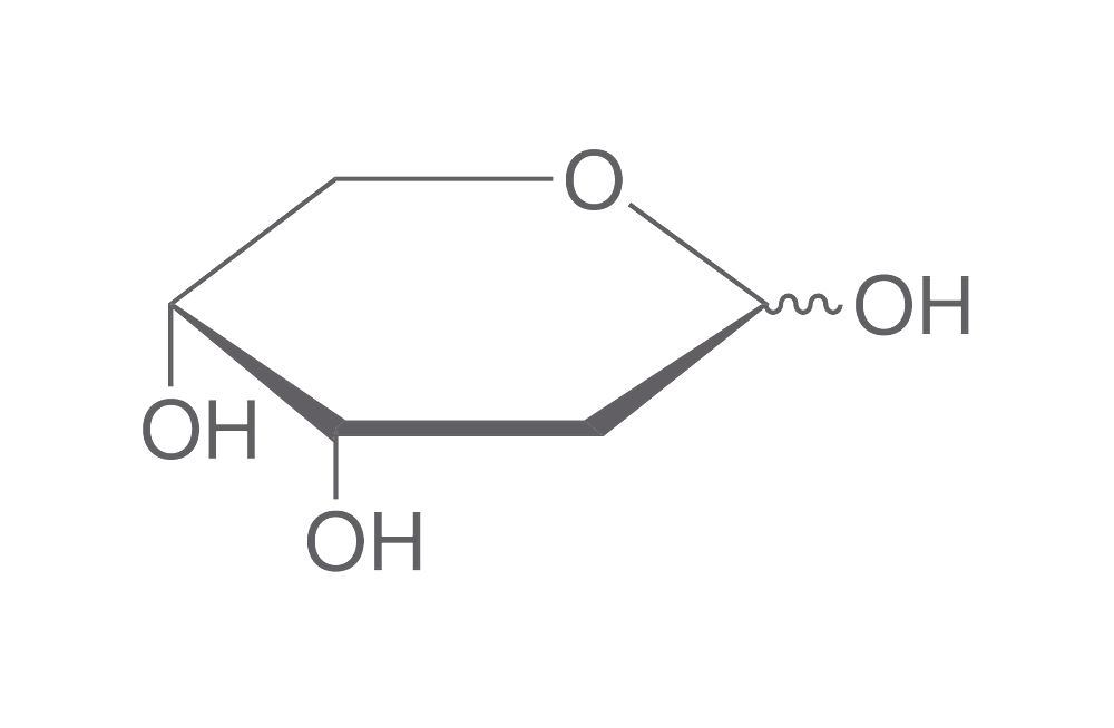 O Potente Açúcar Conhecido Como Ribose